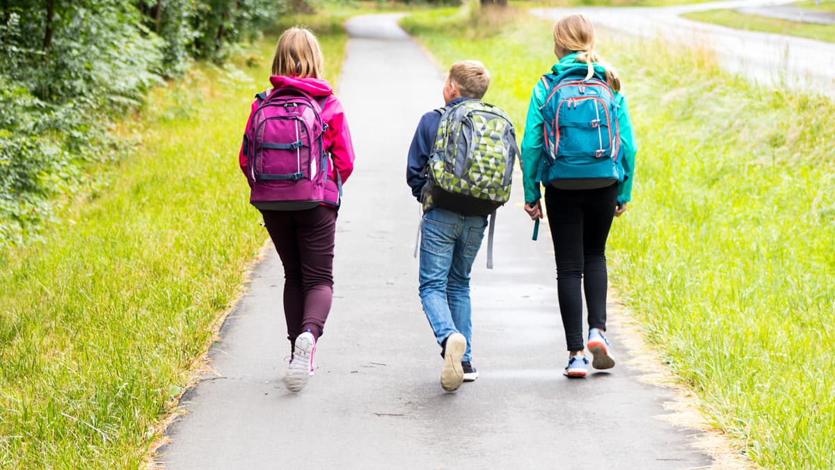 Mehr Sicherheit auf dem Schulweg: CDU-Initiative zeigt Wirkung am Karl-Mücher-Weg
