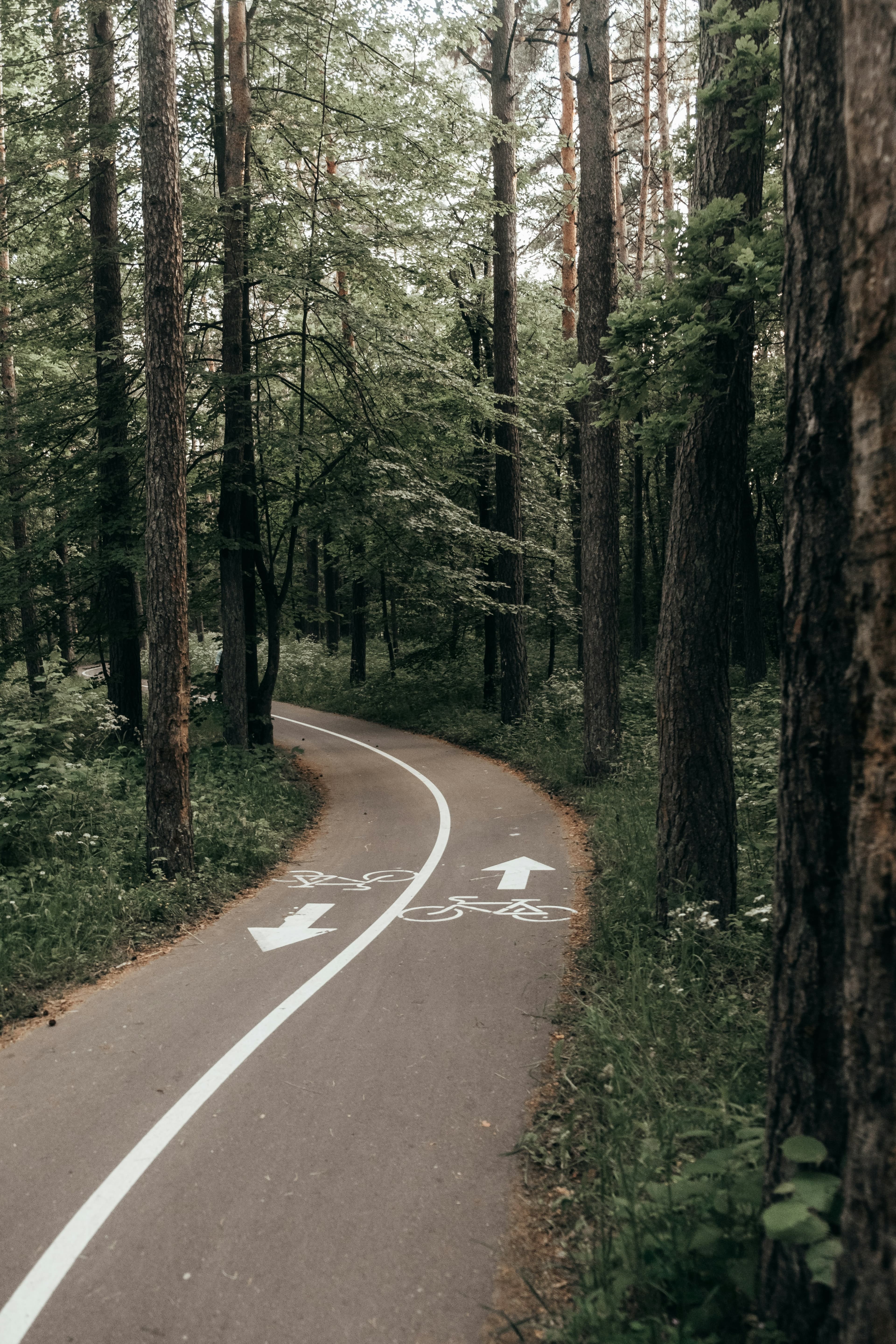 Grüne und CDU setzen sich gemeinsam für bessere Instandhaltung stark genutzter Radwege ein